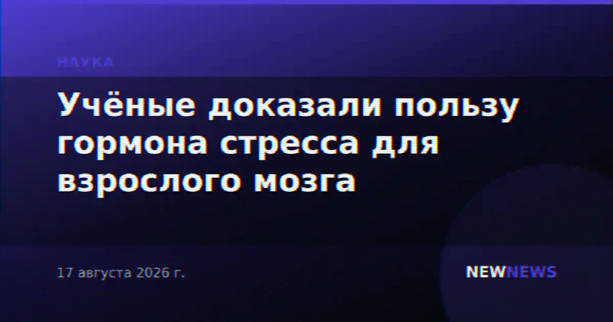 Учёные доказали пользу гормона стресса для взрослого мозга