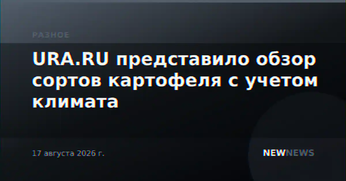 URA.RU представило обзор сортов картофеля с учетом климата