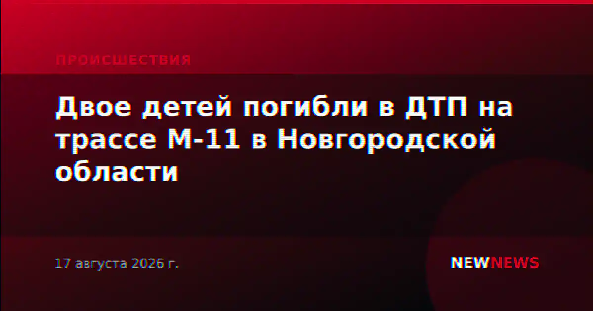 Двое детей погибли в ДТП на трассе М-11 в Новгородской области