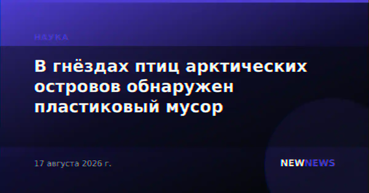 В гнёздах птиц арктических островов обнаружен пластиковый мусор