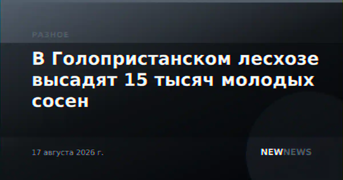 В Голопристанском лесхозе высадят 15 тысяч молодых сосен