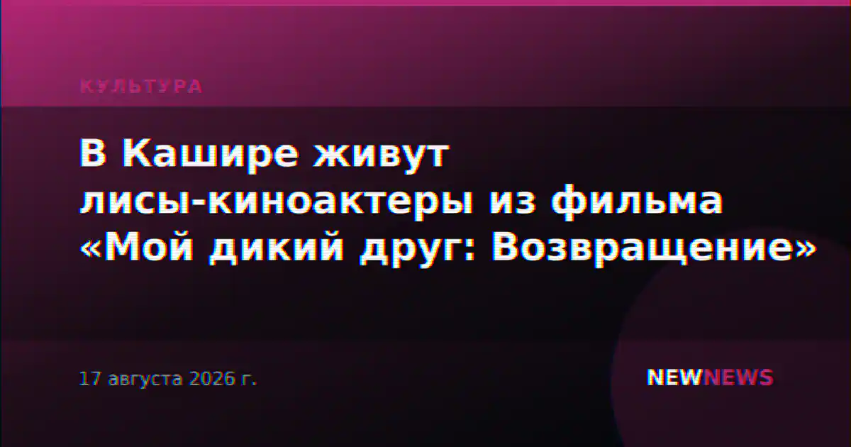 В Кашире живут лисы-киноактеры из фильма «Мой дикий друг: Возвращение»