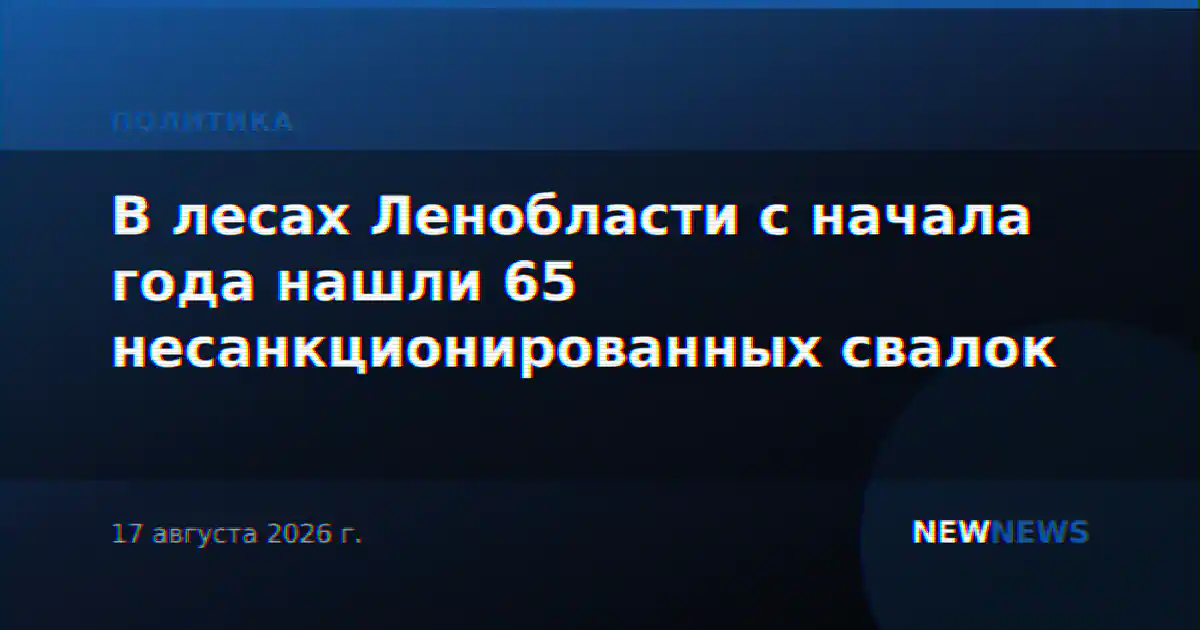 В лесах Ленобласти с начала года нашли 65 несанкционированных свалок