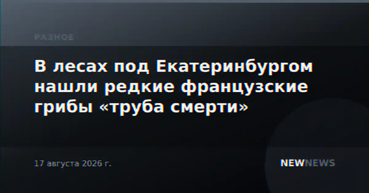 В лесах под Екатеринбургом нашли редкие французские грибы «труба смерти»