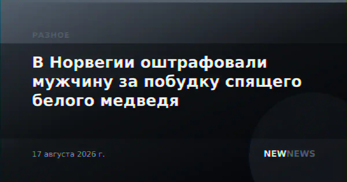 В Норвегии оштрафовали мужчину за побудку спящего белого медведя
