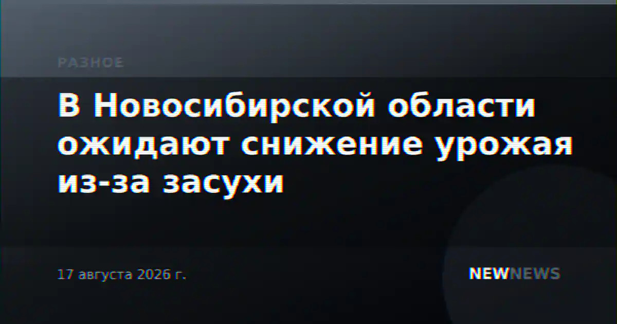 В Новосибирской области ожидают снижение урожая из-за засухи