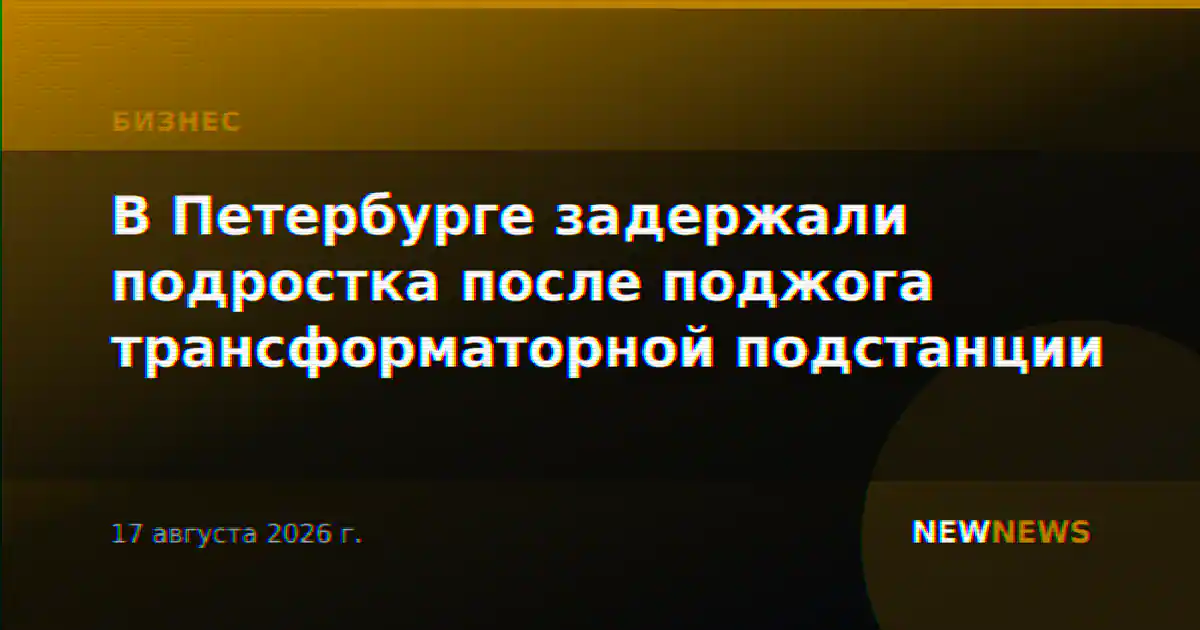 В Петербурге задержали подростка после поджога трансформаторной подстанции
