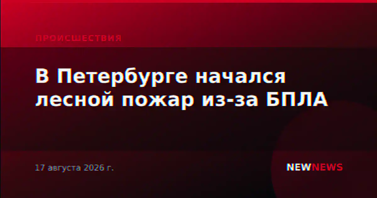 В Петербурге начался лесной пожар из-за БПЛА