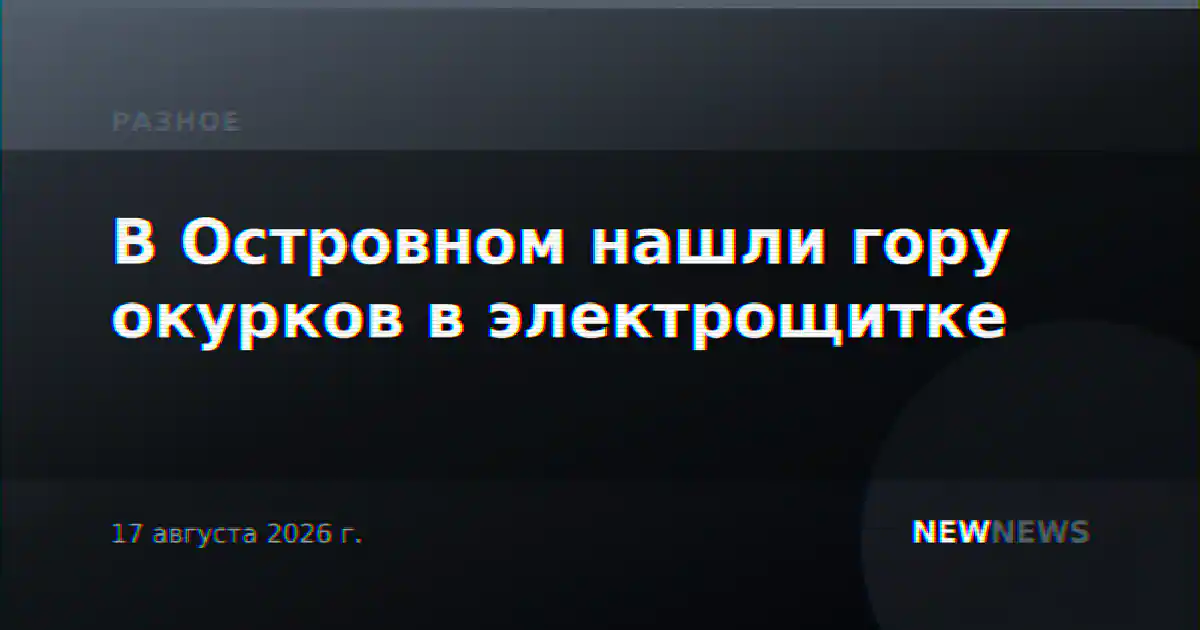 В Островном нашли гору окурков в электрощитке