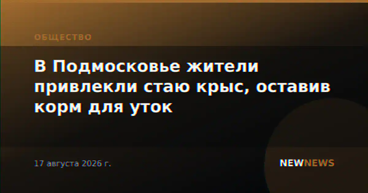 В Подмосковье жители привлекли стаю крыс, оставив корм для уток