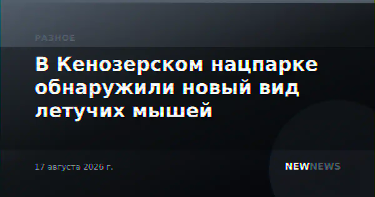 В Кенозерском нацпарке обнаружили новый вид летучих мышей