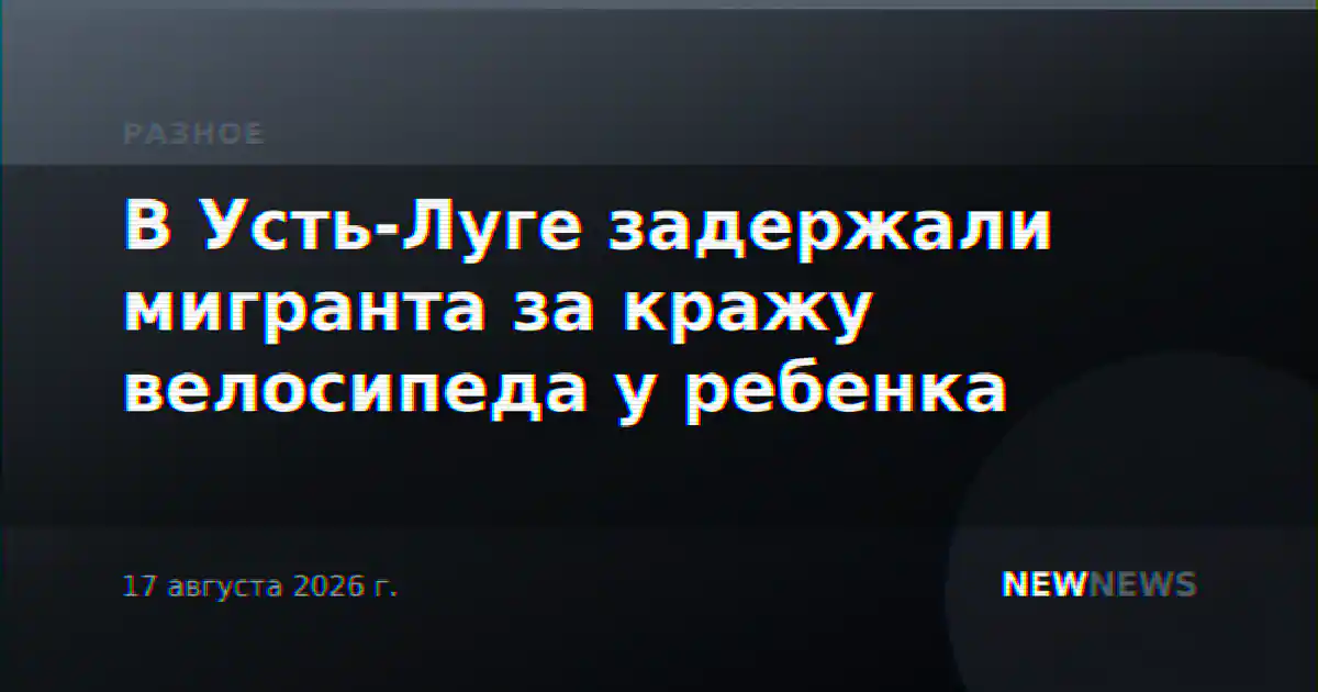 В Усть-Луге задержали мигранта за кражу велосипеда у ребенка