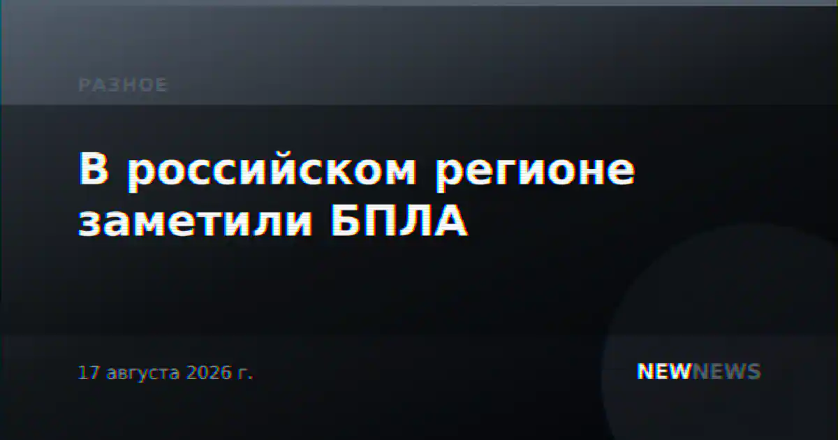 В российском регионе заметили БПЛА