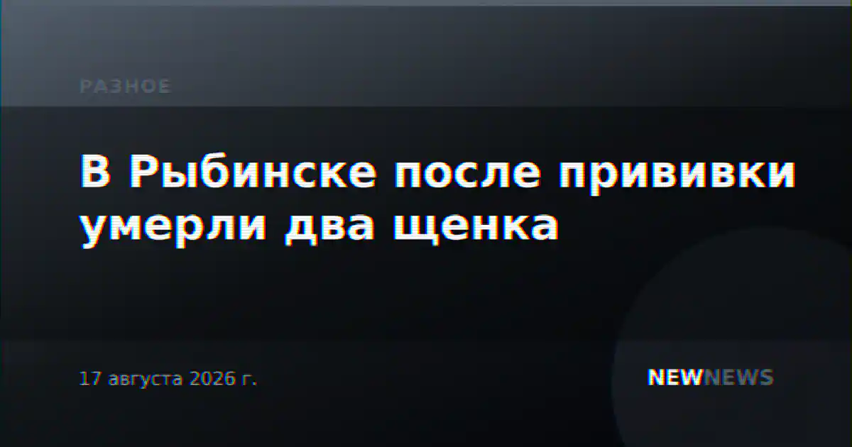 В Рыбинске после прививки умерли два щенка