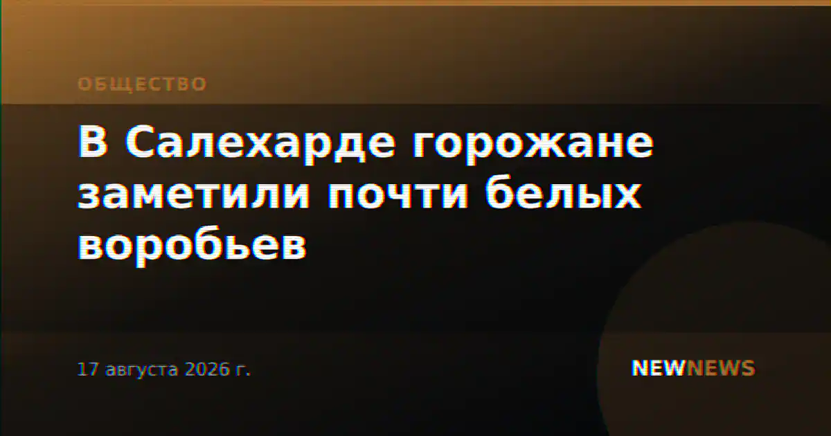 В Салехарде горожане заметили почти белых воробьев