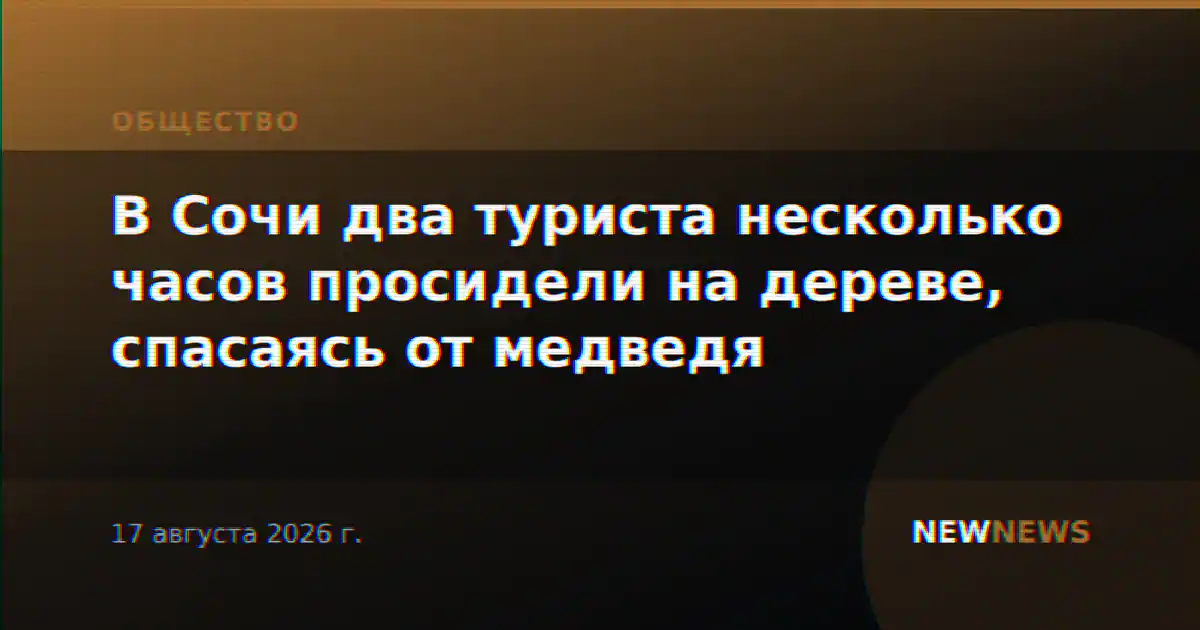 В Сочи два туриста несколько часов просидели на дереве, спасаясь от медведя