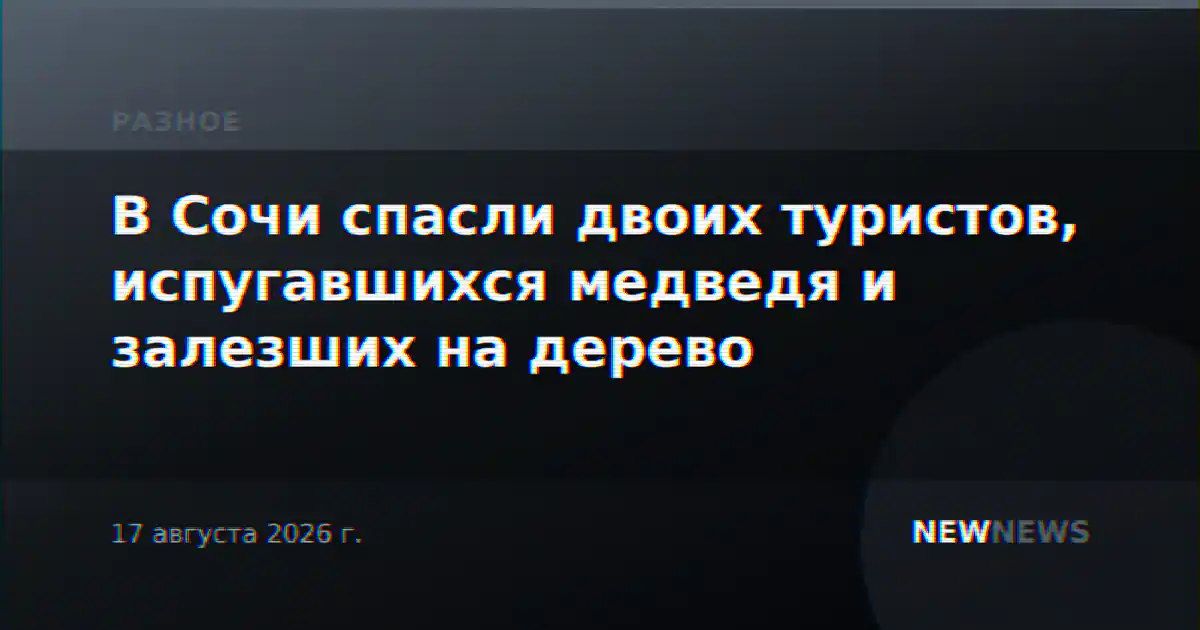 В Сочи спасли двоих туристов, испугавшихся медведя и залезших на дерево