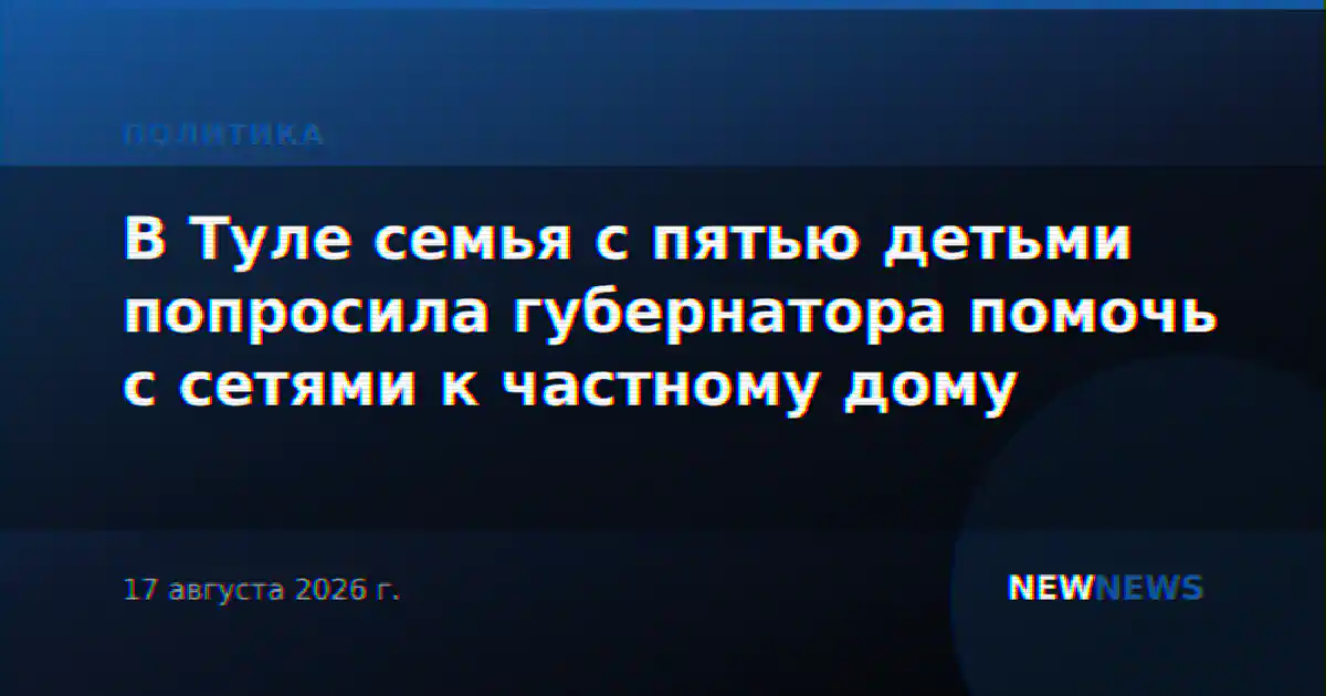 В Туле семья с пятью детьми попросила губернатора помочь с сетями к частному дому