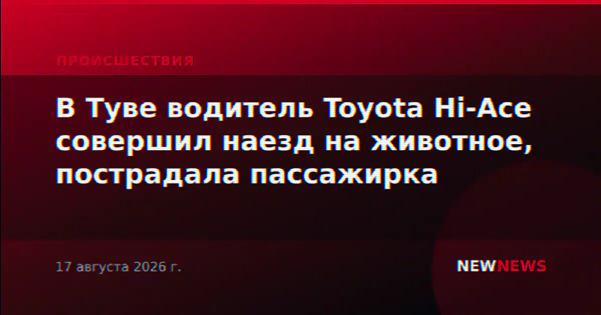 В Туве водитель Toyota Hi-Ace совершил наезд на животное, пострадала пассажирка