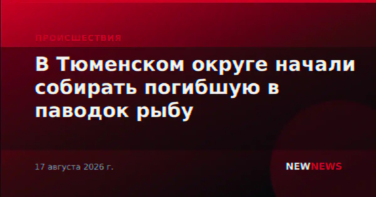 В Тюменском округе начали собирать погибшую в паводок рыбу