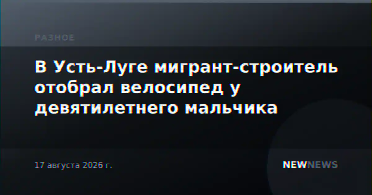В Усть-Луге мигрант-строитель отобрал велосипед у девятилетнего мальчика