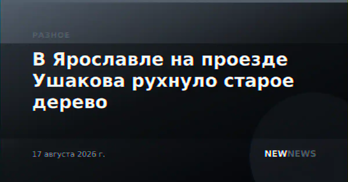 В Ярославле на проезде Ушакова рухнуло старое дерево