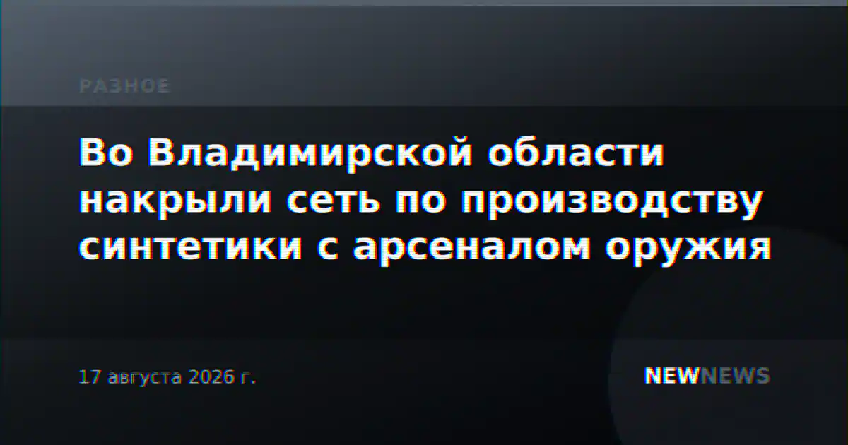 Во Владимирской области накрыли сеть по производству синтетики с арсеналом оружия