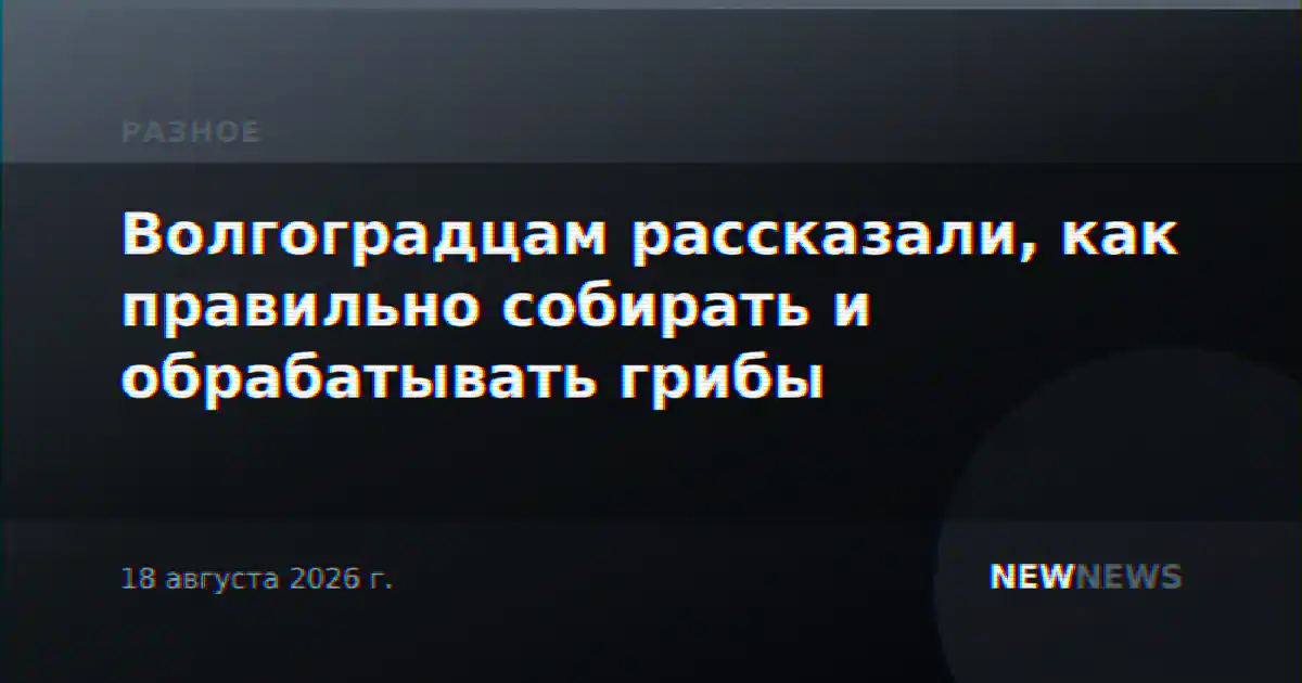 Волгоградцам рассказали, как правильно собирать и обрабатывать грибы