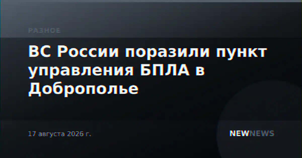 ВС России поразили пункт управления БПЛА в Доброполье