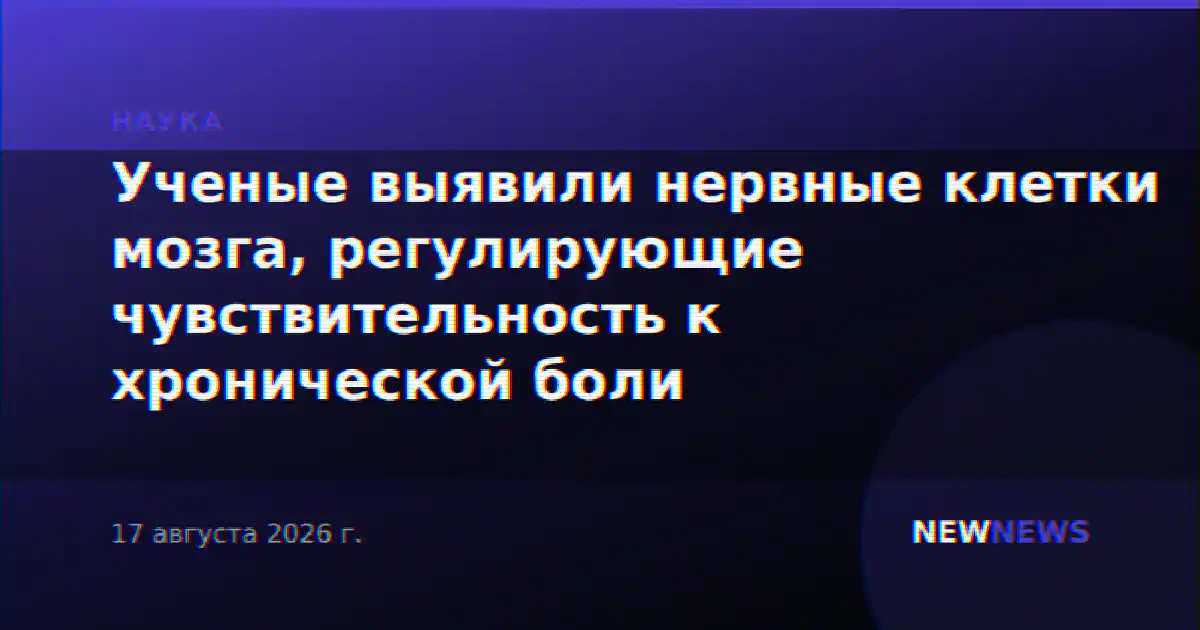 Ученые выявили нервные клетки мозга, регулирующие чувствительность к хронической боли