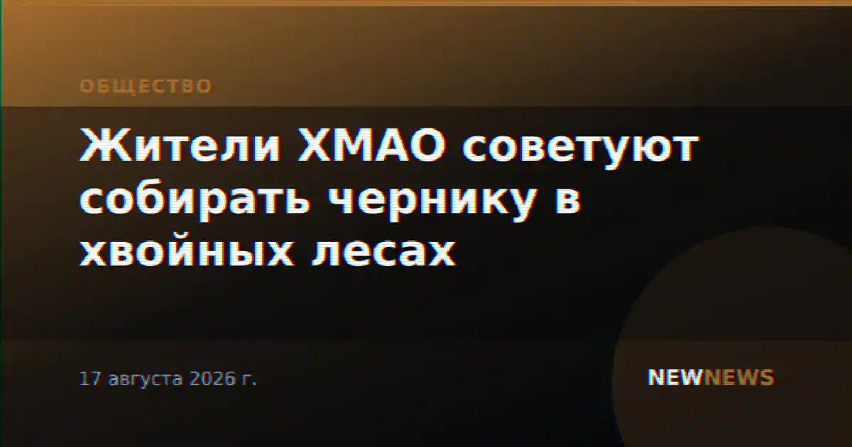 Жители ХМАО советуют собирать чернику в хвойных лесах