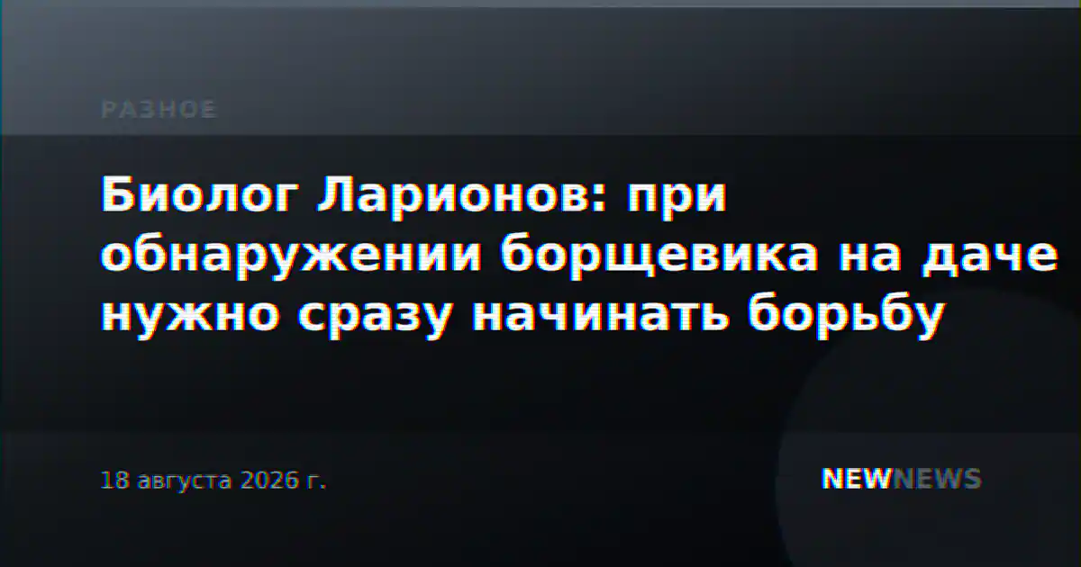 Биолог Ларионов: при обнаружении борщевика на даче нужно сразу начинать борьбу