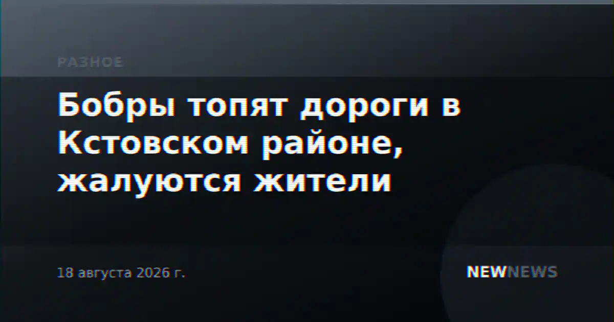 Бобры топят дороги в Кстовском районе, жалуются жители