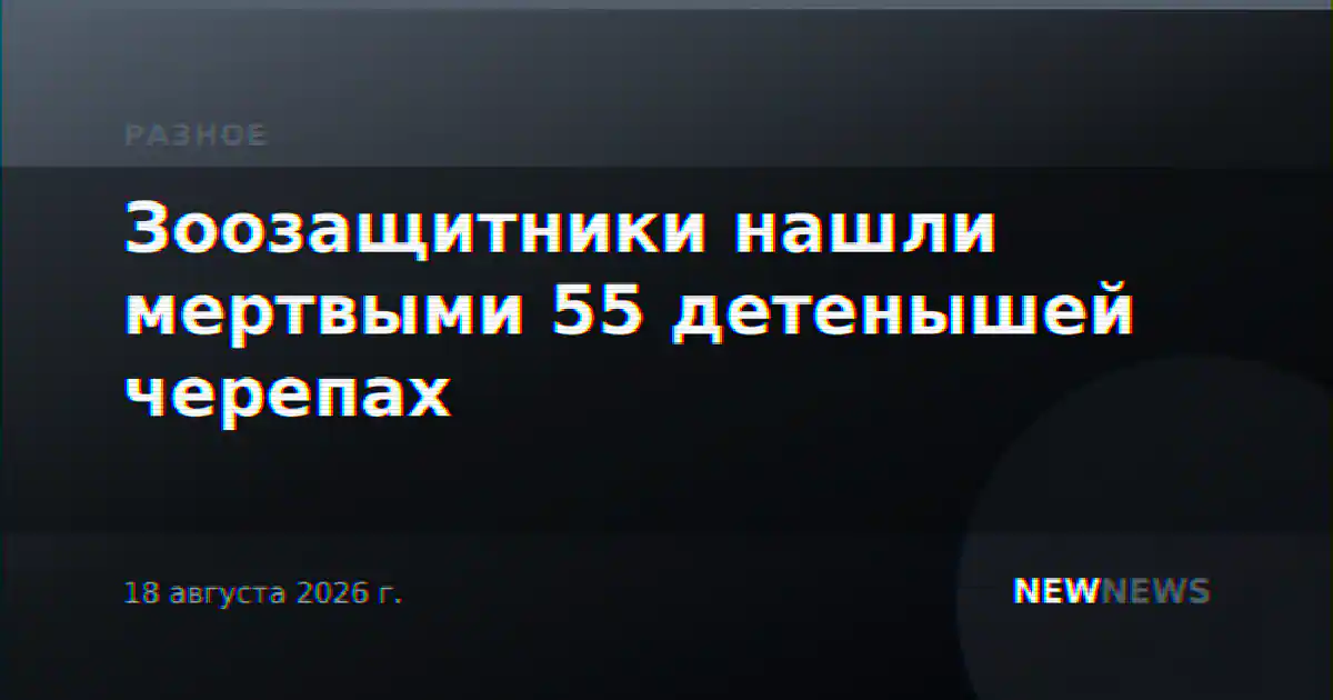 Зоозащитники нашли мертвыми 55 детенышей черепах