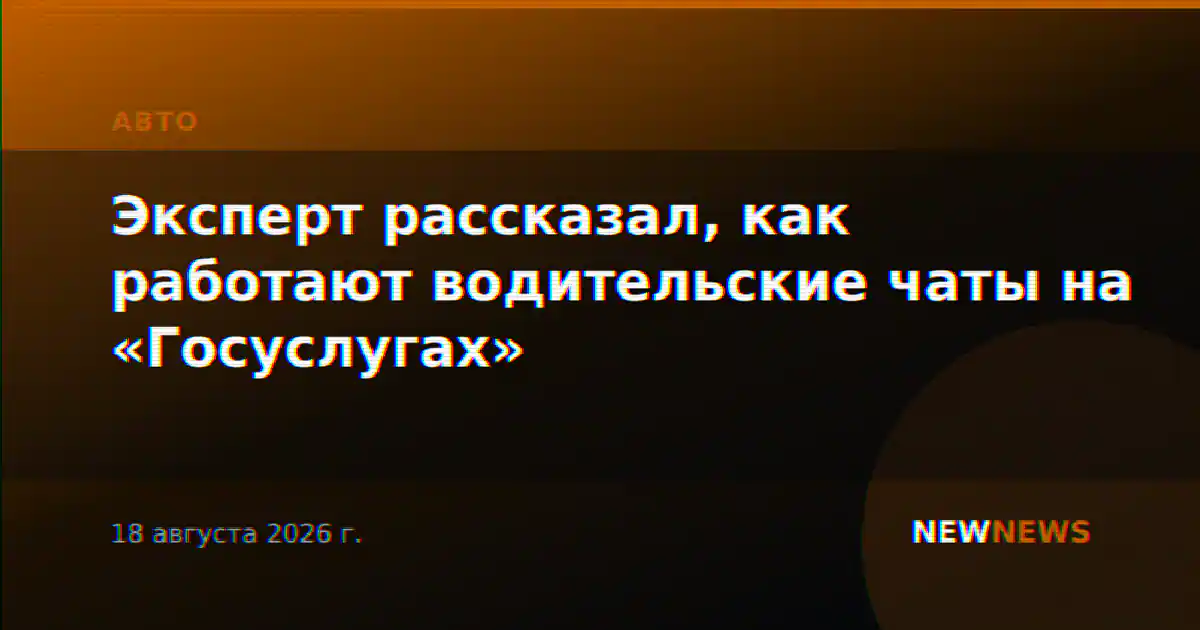 Эксперт рассказал, как работают водительские чаты на «Госуслугах»