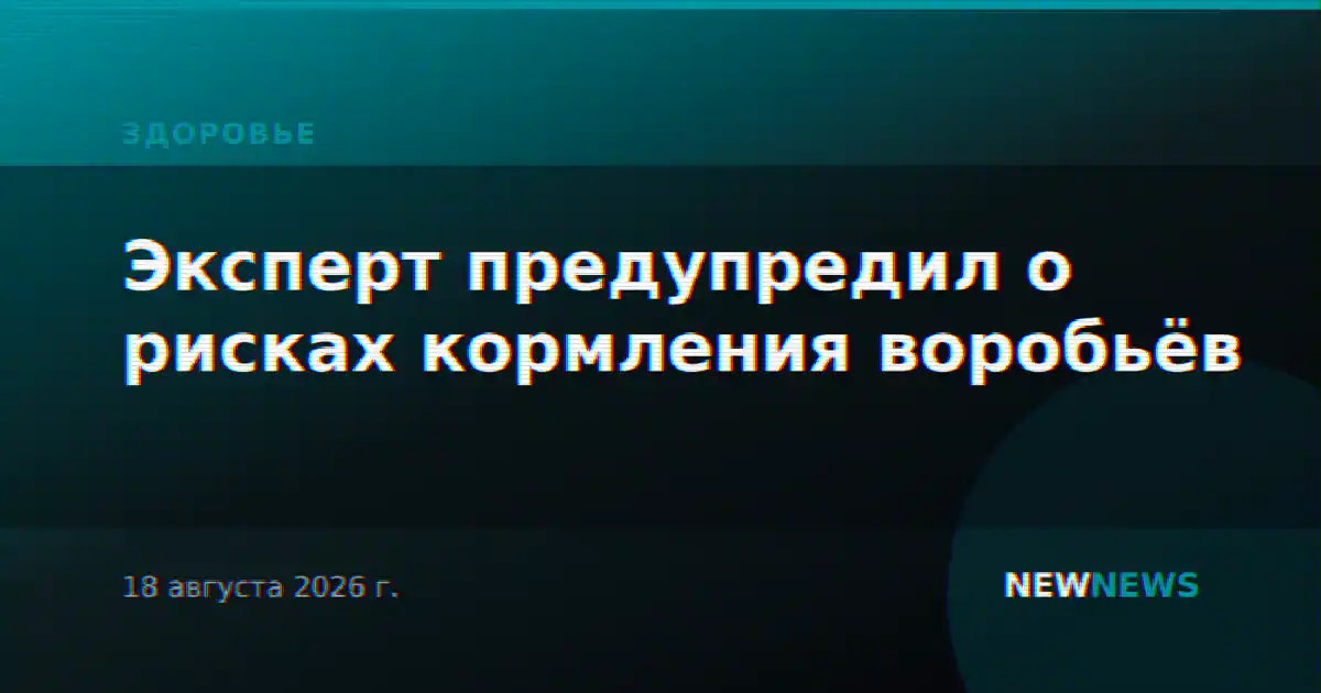 Эксперт предупредил о рисках кормления воробьёв