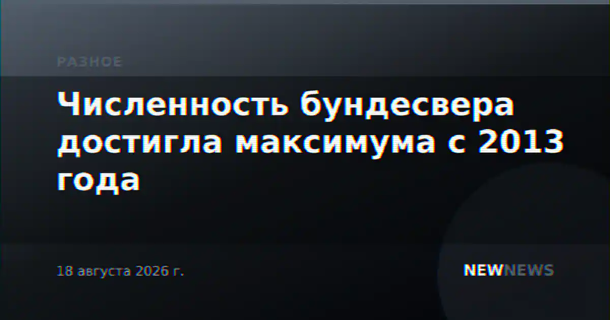 Численность бундесвера достигла максимума с 2013 года