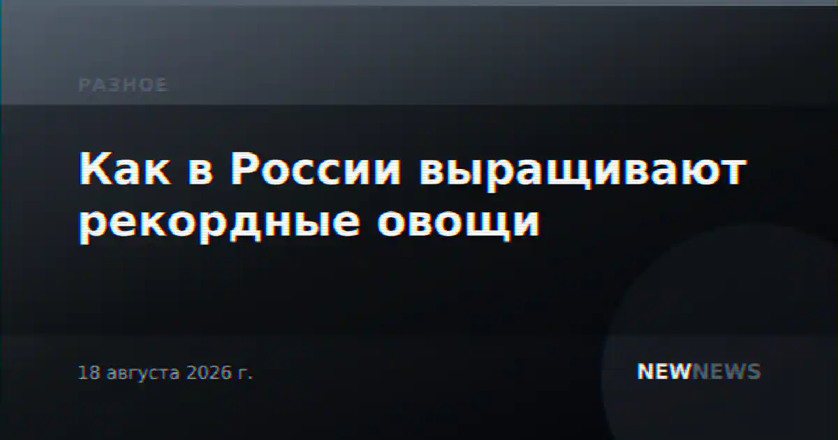 Как в России выращивают рекордные овощи
