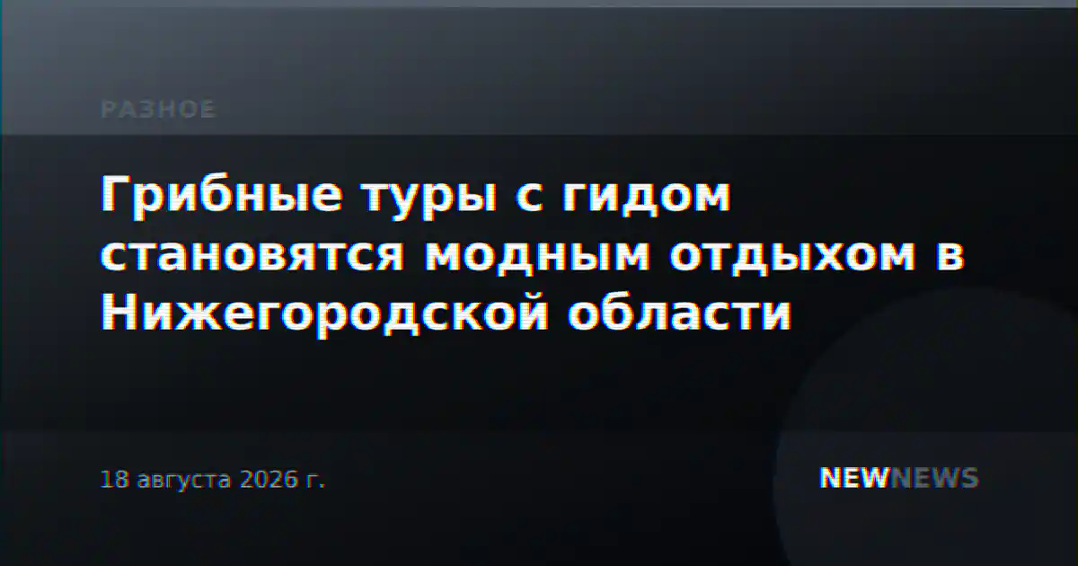 Грибные туры с гидом становятся модным отдыхом в Нижегородской области