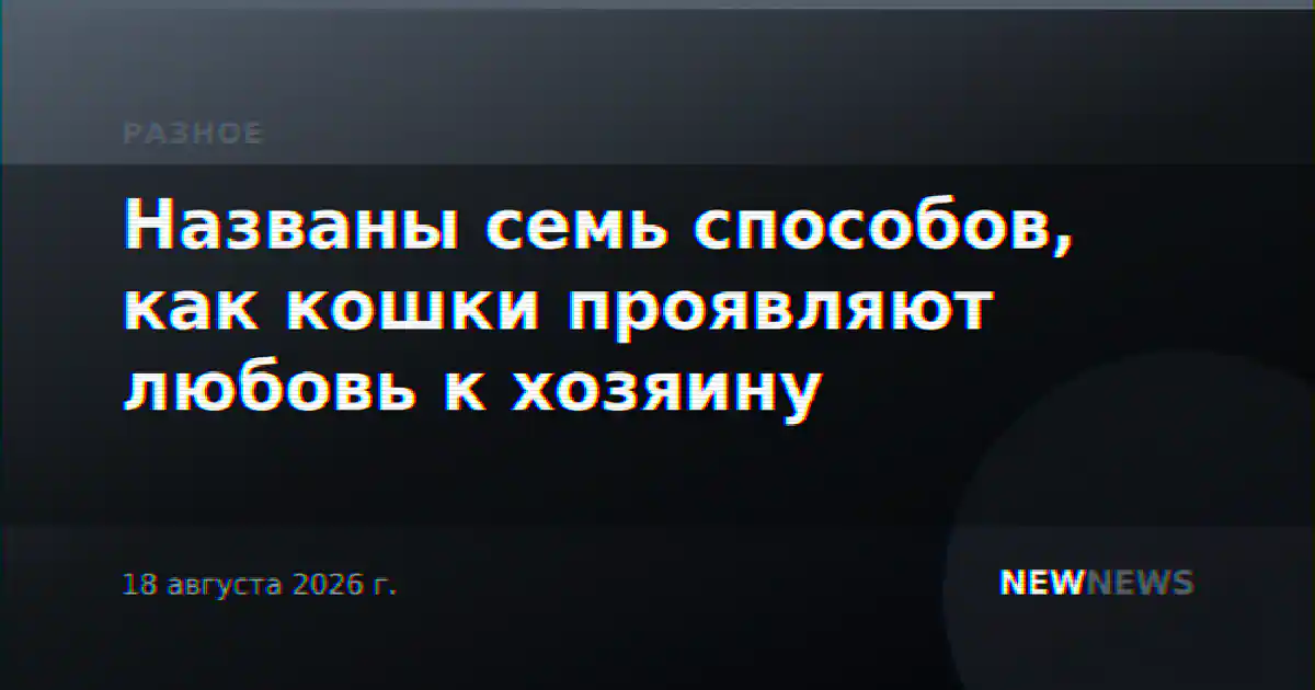 Названы семь способов, как кошки проявляют любовь к хозяину