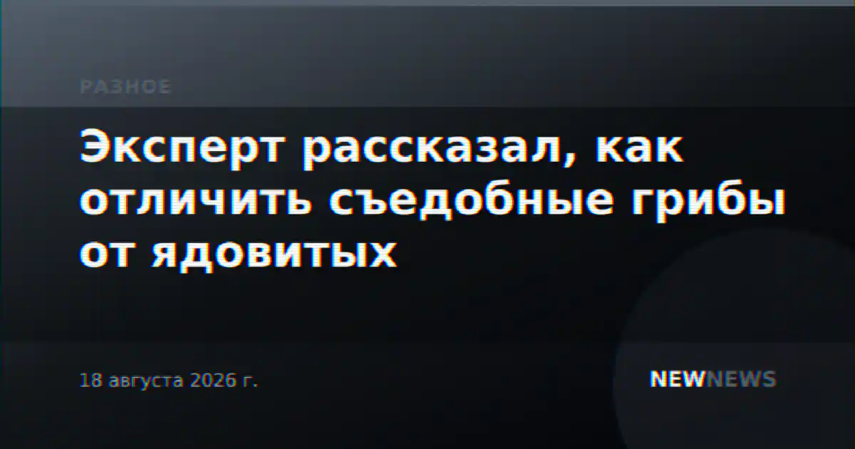 Эксперт рассказал, как отличить съедобные грибы от ядовитых