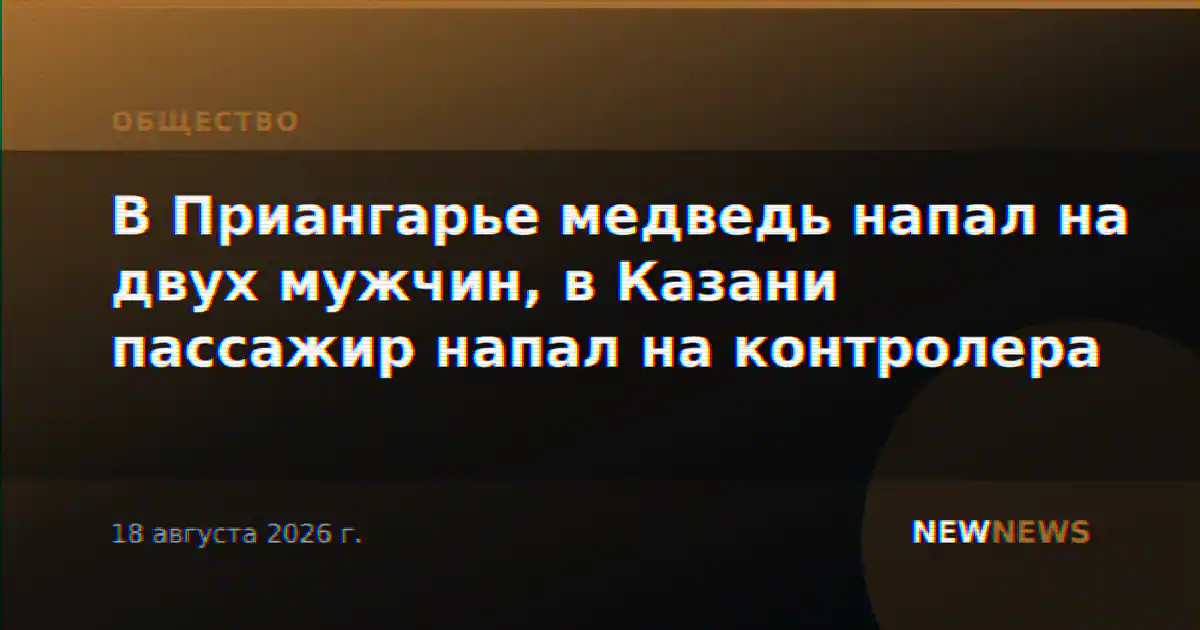 В Приангарье медведь напал на двух мужчин, в Казани пассажир напал на контролера
