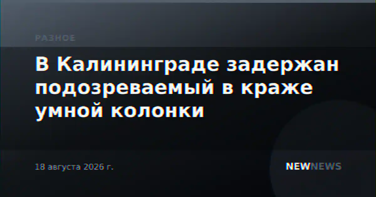 В Калининграде задержан подозреваемый в краже умной колонки