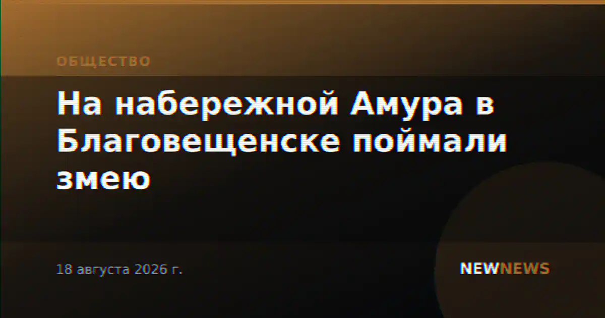 На набережной Амура в Благовещенске поймали змею