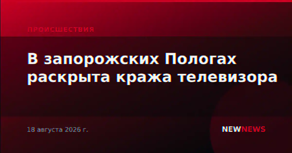 В запорожских Пологах раскрыта кража телевизора