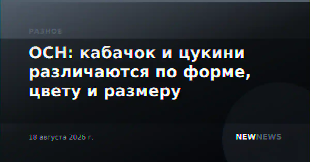 ОСН: кабачок и цукини различаются по форме, цвету и размеру
