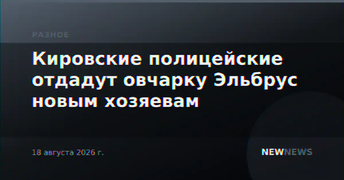 Кировские полицейские отдадут овчарку Эльбрус новым хозяевам
