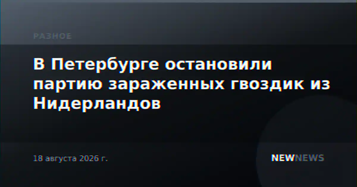 В Петербурге остановили партию зараженных гвоздик из Нидерландов