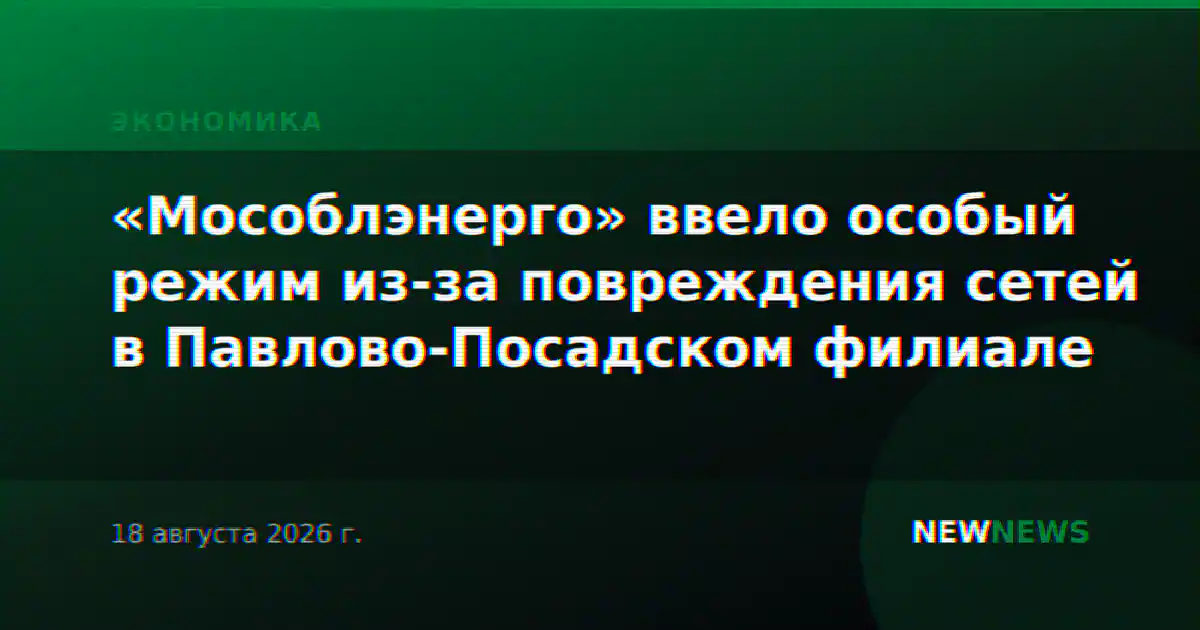 «Мособлэнерго» ввело особый режим из-за повреждения сетей в Павлово-Посадском филиале