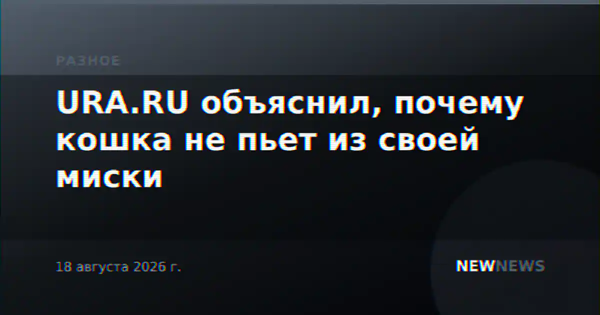 URA.RU объяснил, почему кошка не пьет из своей миски